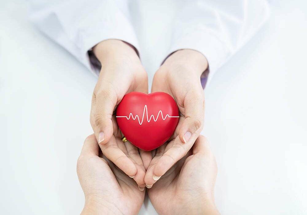 Doctor hands holding red heart.